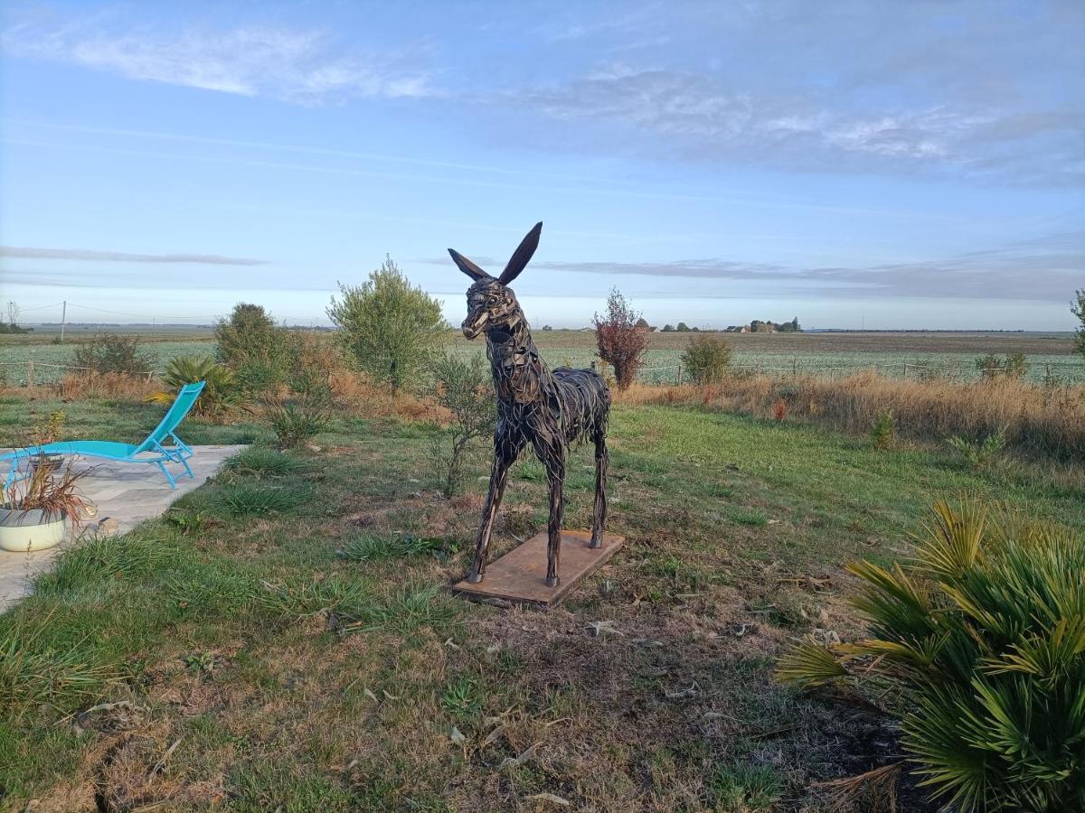 La Fosse Seche Bed and Breakfast Dolus-le-Sec Εξωτερικό φωτογραφία