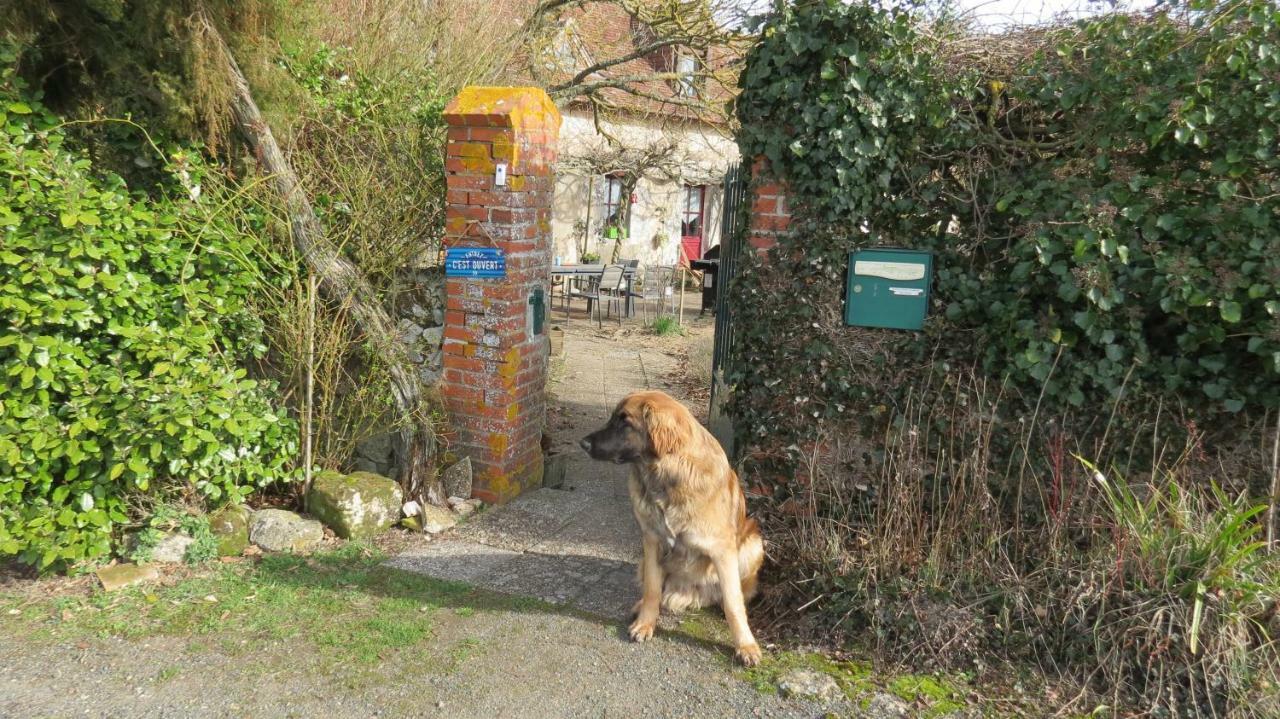 La Fosse Seche Bed and Breakfast Dolus-le-Sec Εξωτερικό φωτογραφία